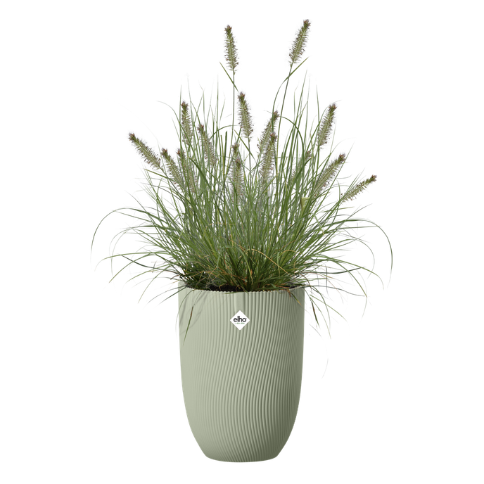 sereh haut 30cm vert scandinave